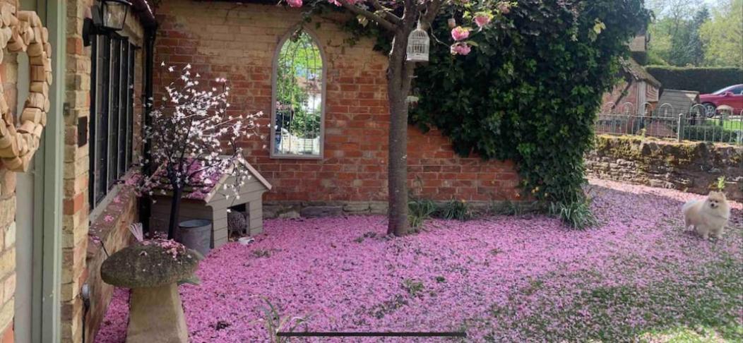Piglet Cottage Pebworth Zewnętrze zdjęcie